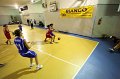 Basket 443081